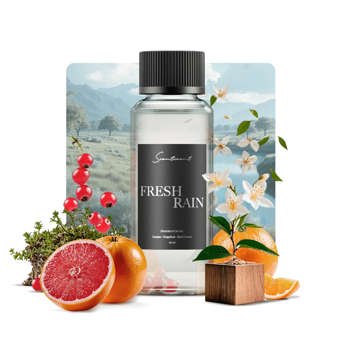 Fresh Rain