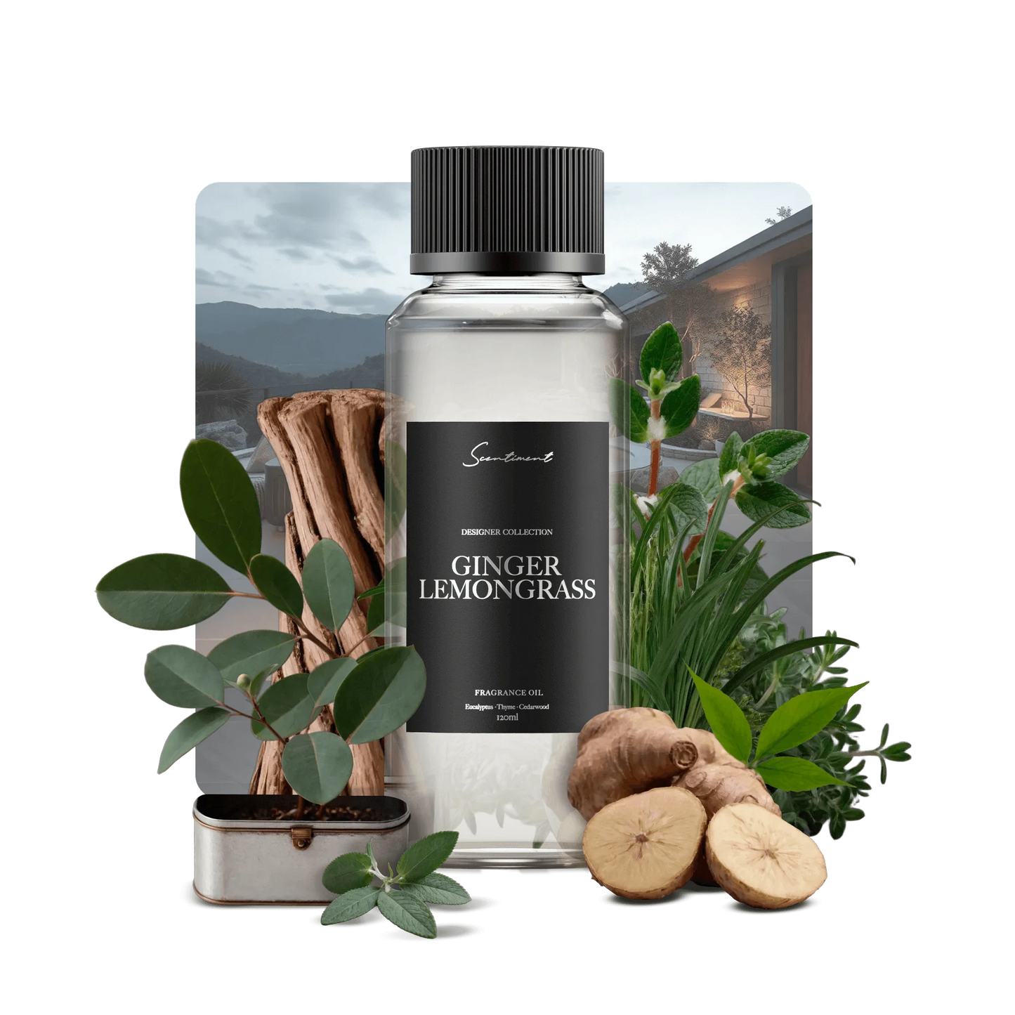 Ginger Lemongrass