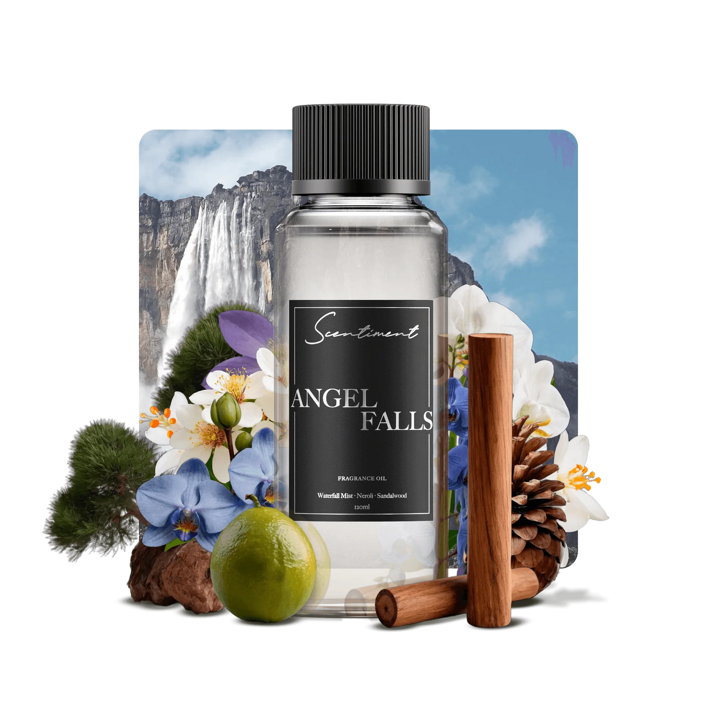 Angel Falls