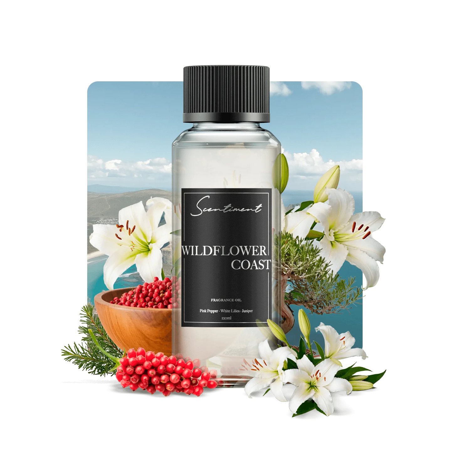 Wildflower Coast