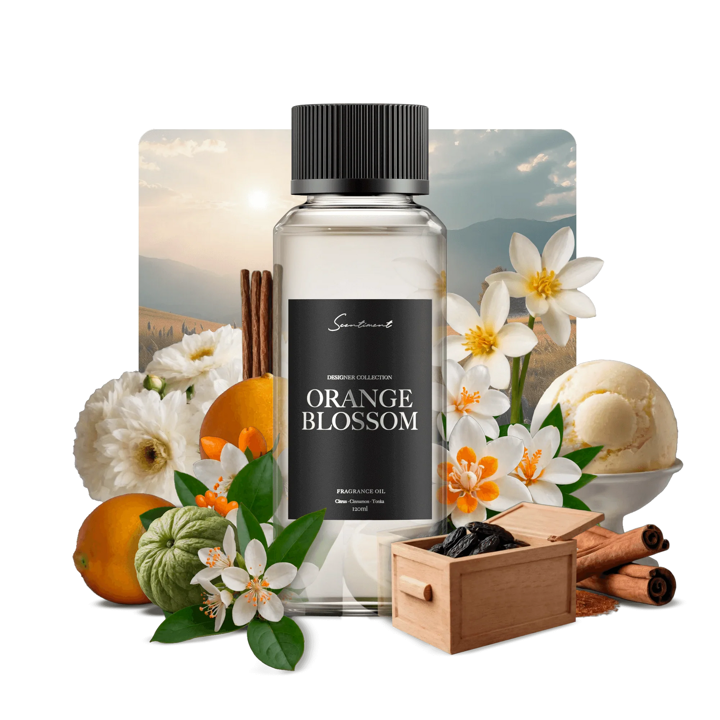 Orange Blossom