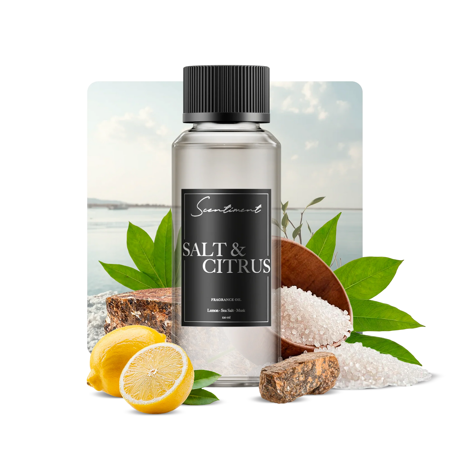Salt & Citrus
