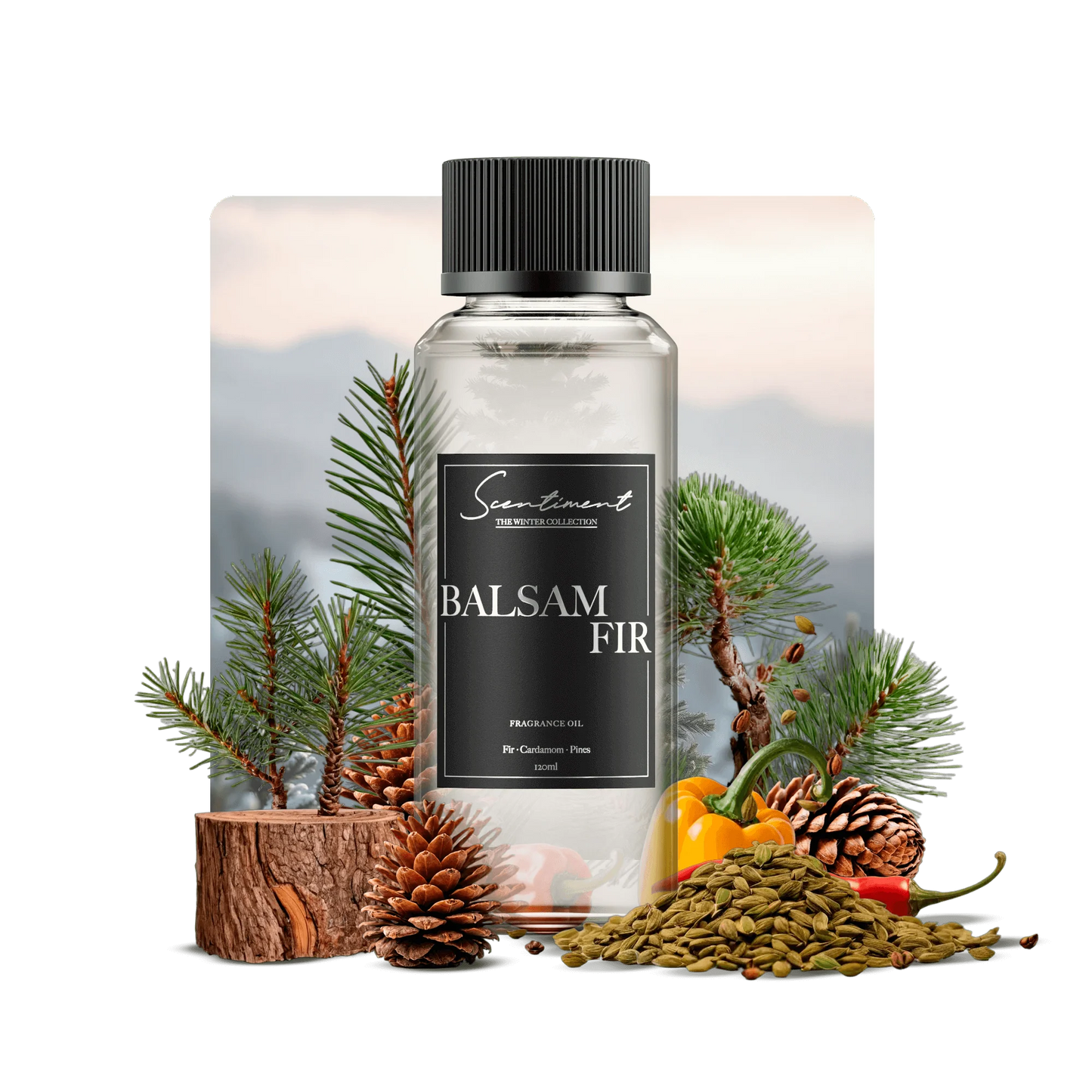 Balsam Fir