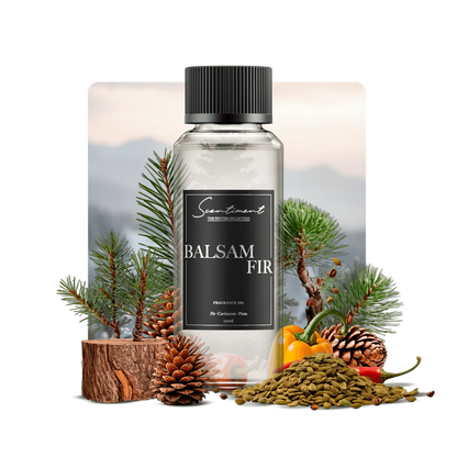 Balsam Fir