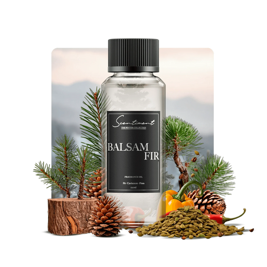 Balsam Fir