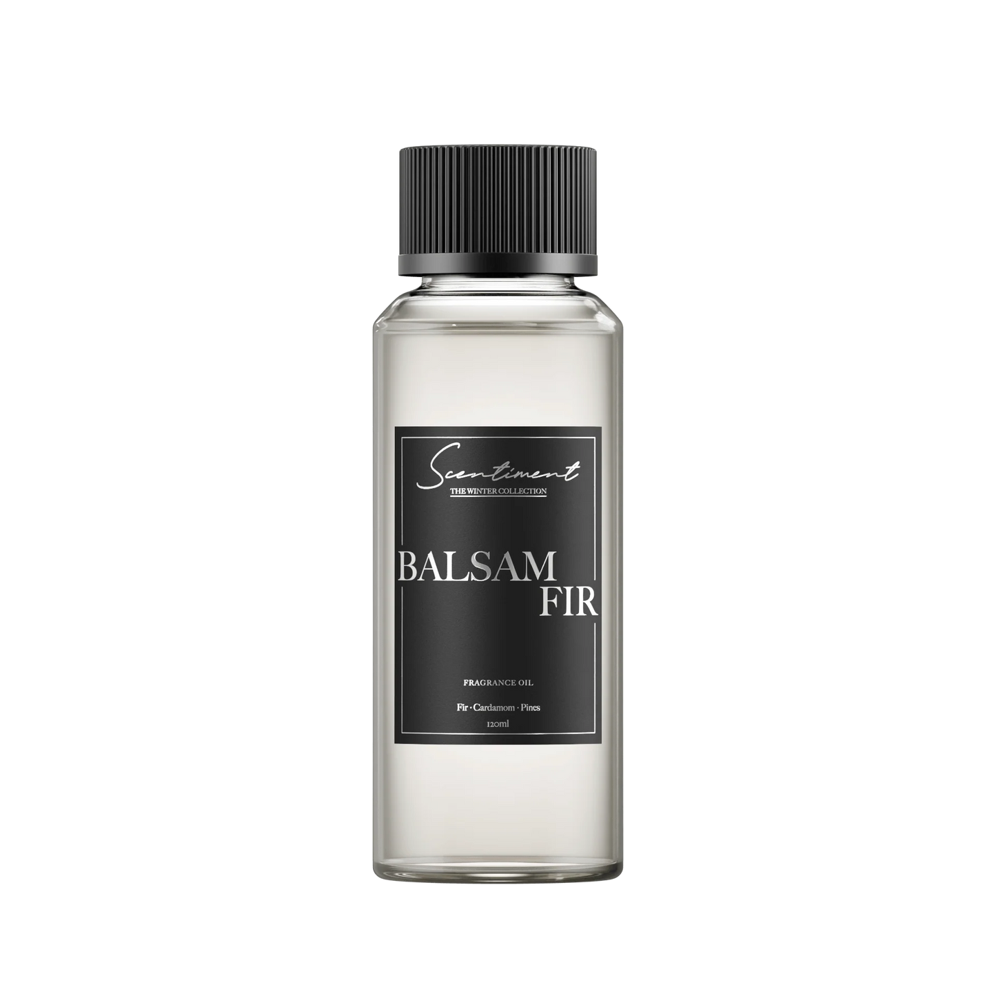 Balsam Fir