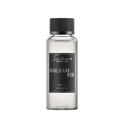 Balsam Fir