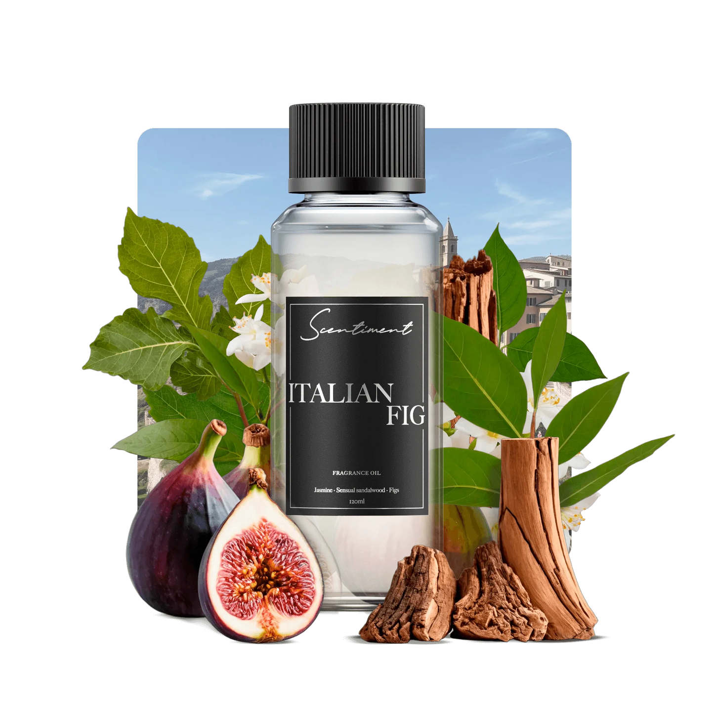 Italian Fig