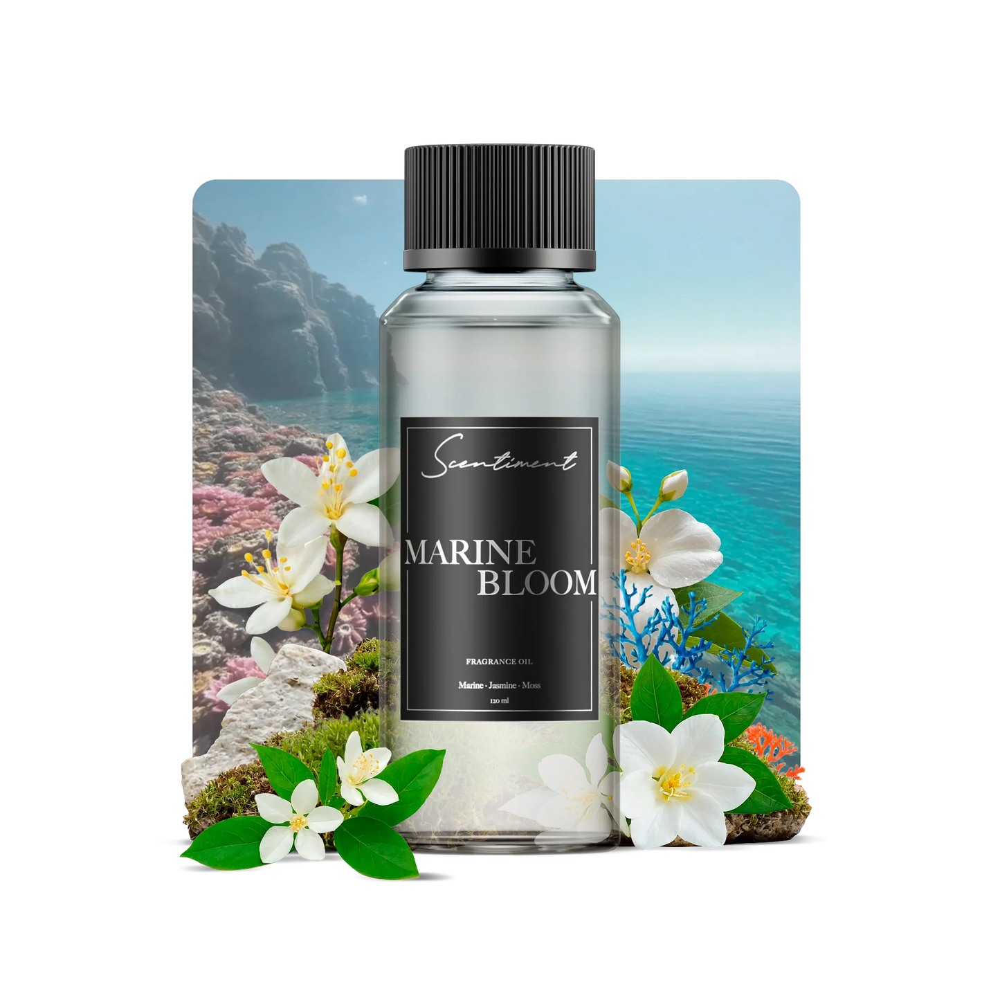 Marine Bloom