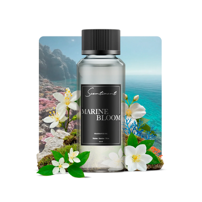 Marine Bloom