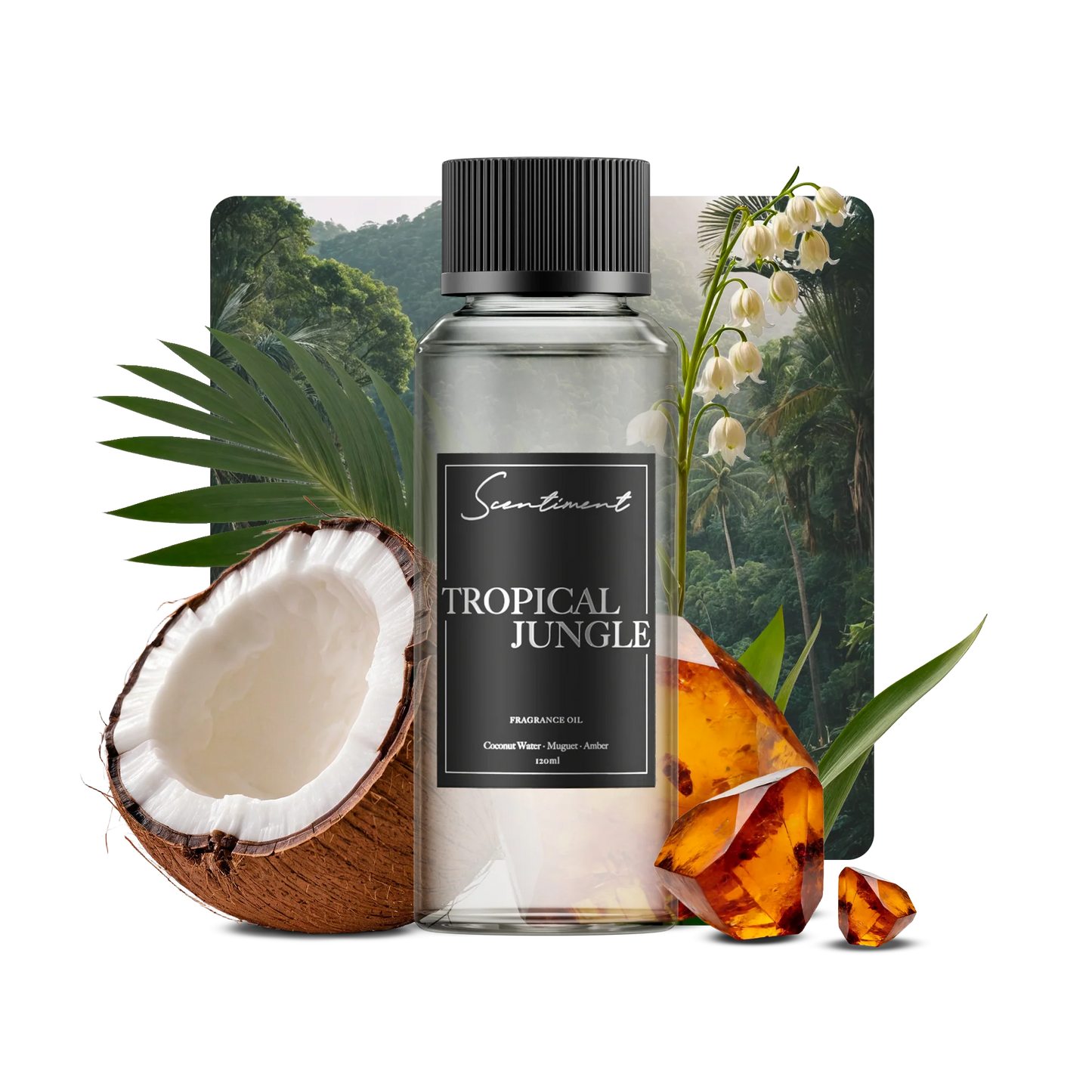Tropical Jungle
