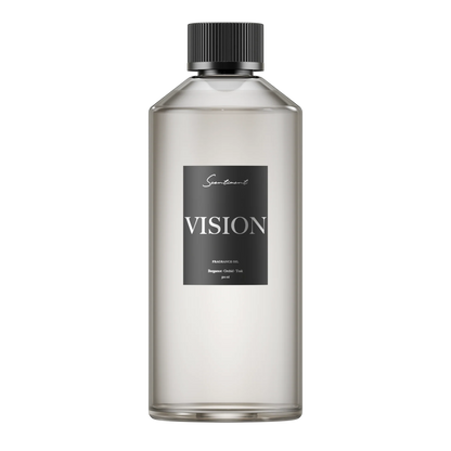 Vision