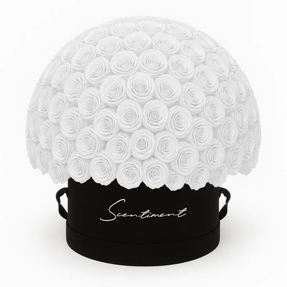 Suede Large Round