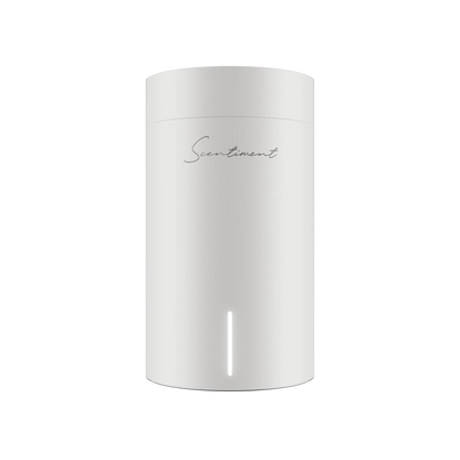 Diffuser Mini 2
