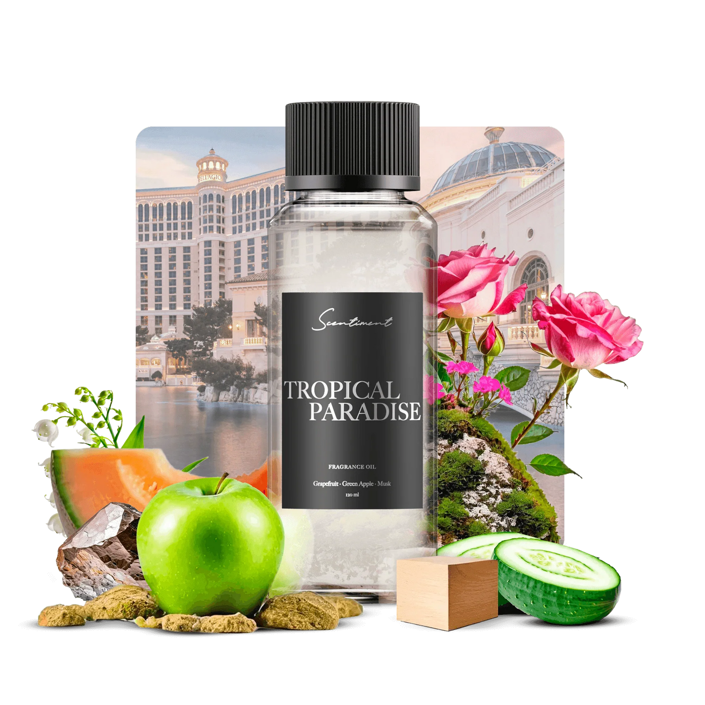 Tropical Paradise