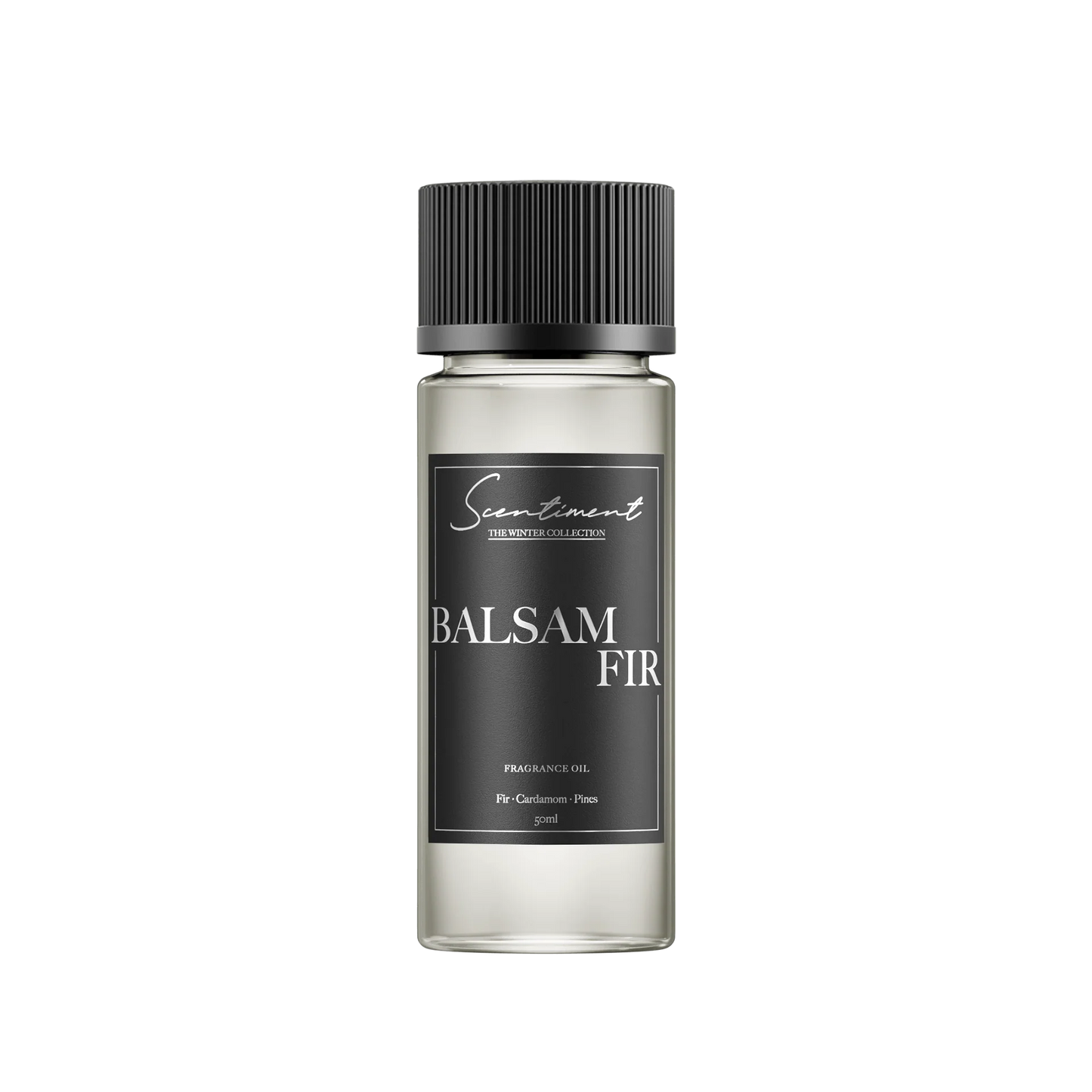 Balsam Fir