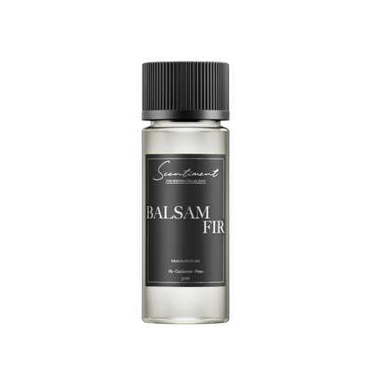 Balsam Fir