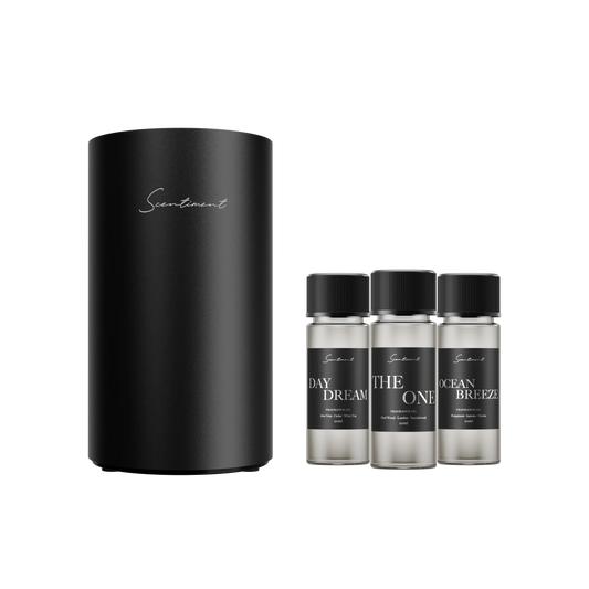 Diffuser Mini Discovery Kit