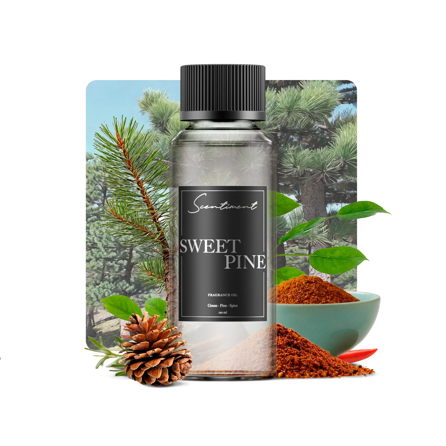 Sweet Pine