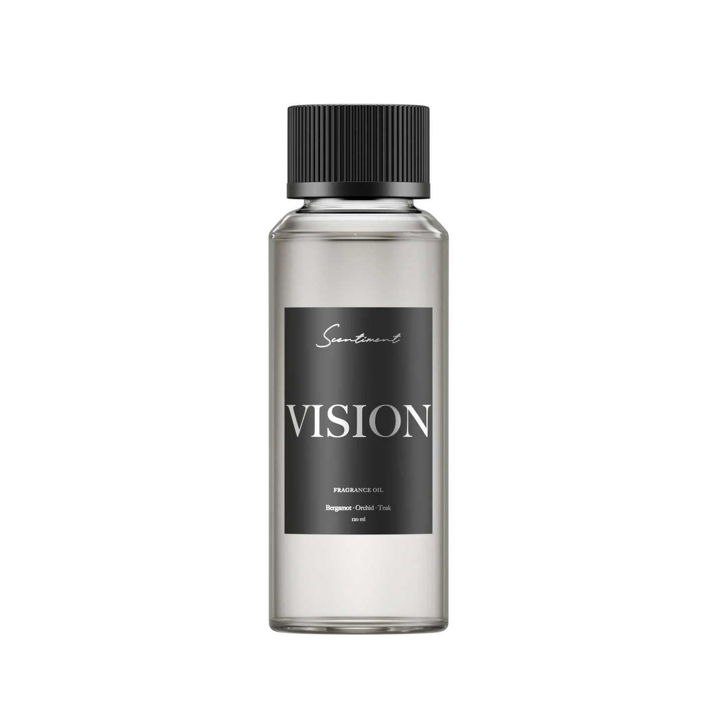 Vision