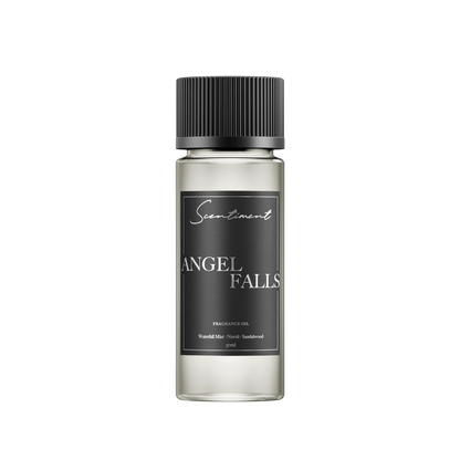 Angel Falls