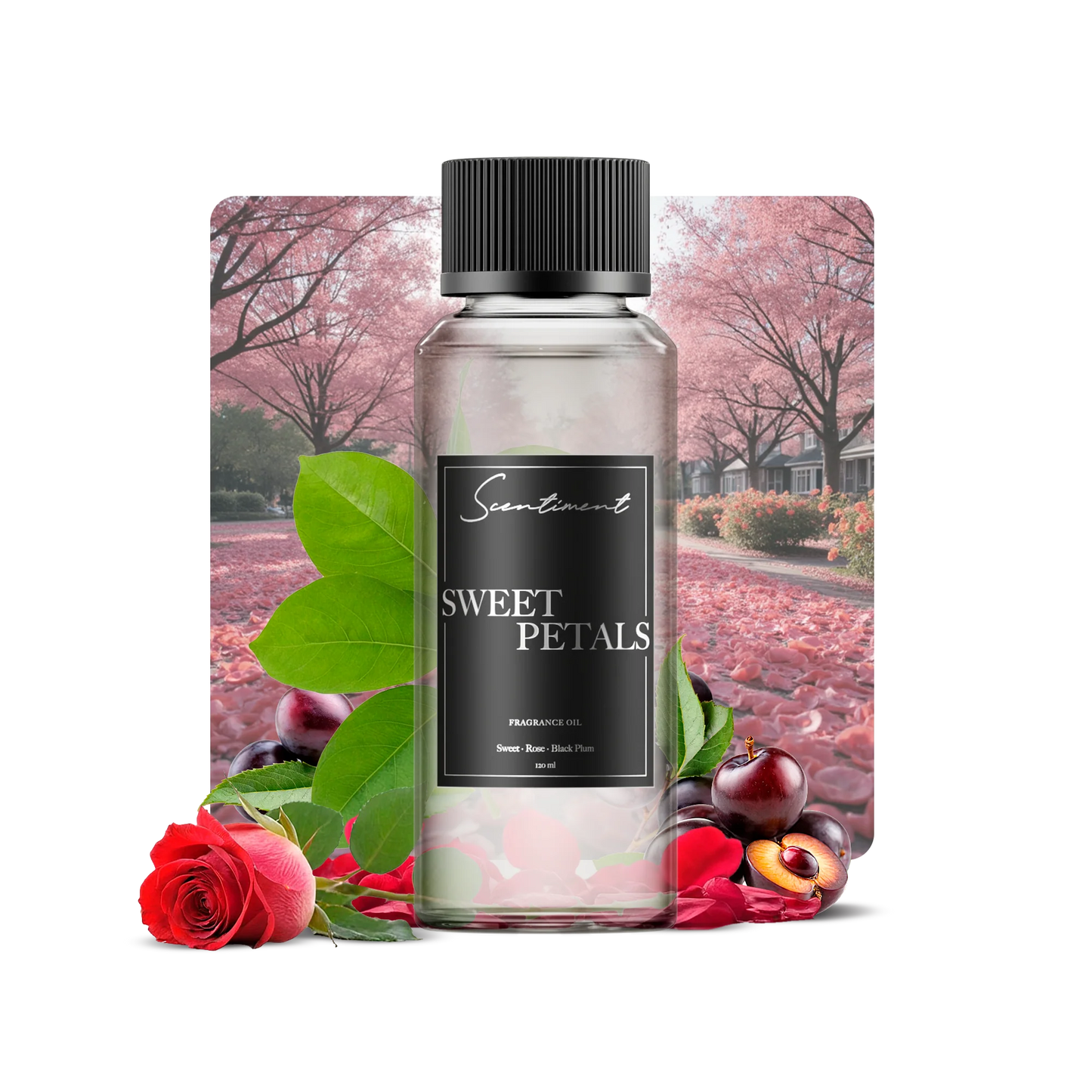 Sweet Petals