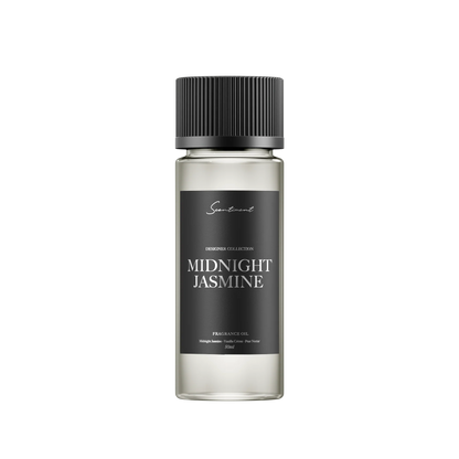 Midnight Jasmine