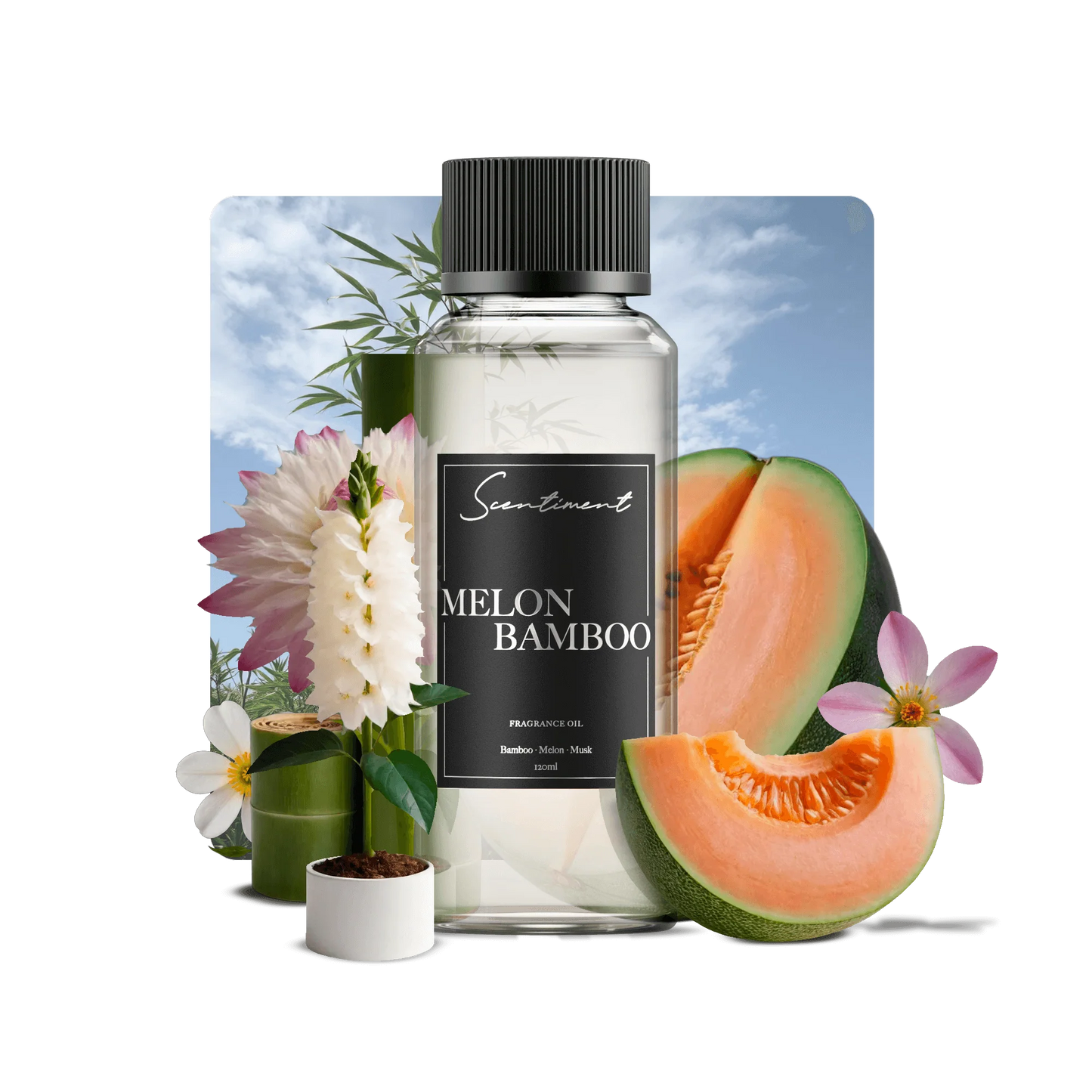 Melon Bamboo