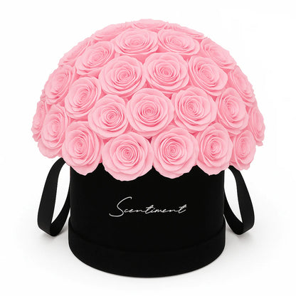 Suede Medium Round