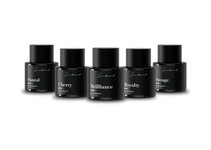 Men's Fragrance Discovery Set