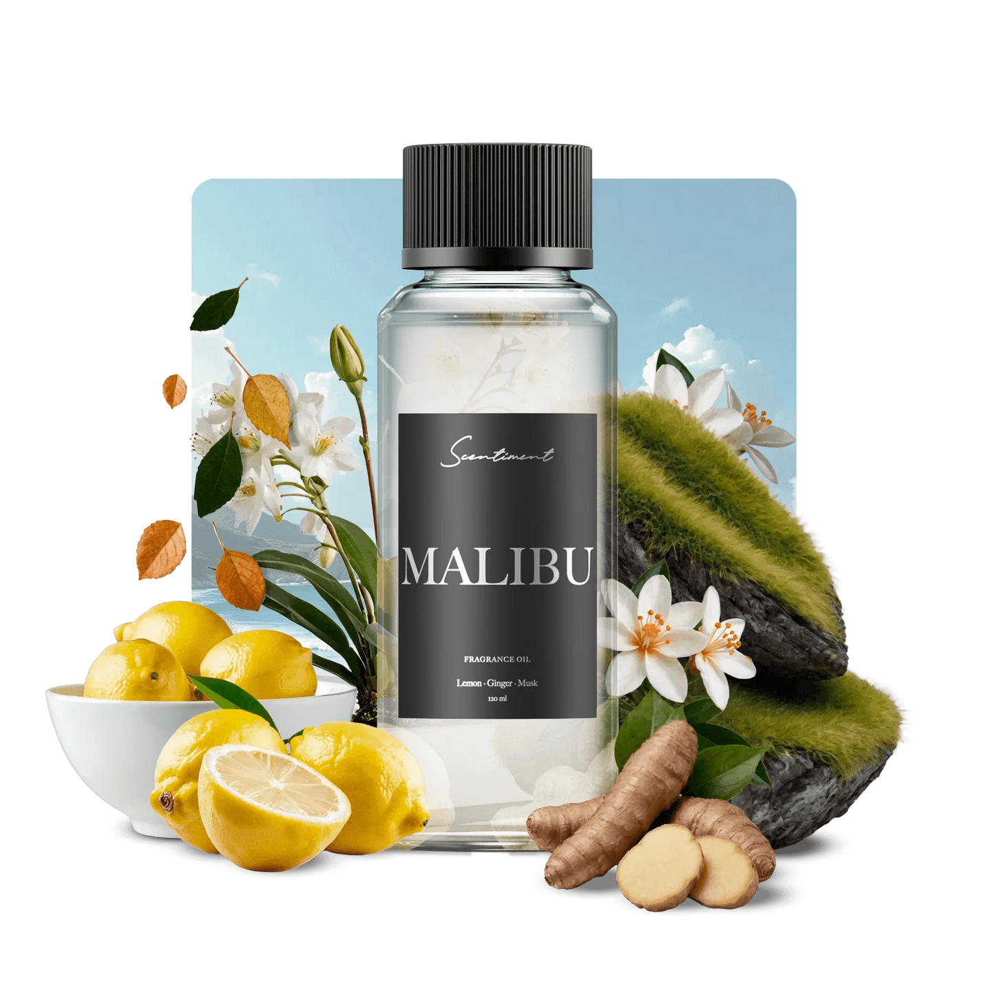Malibu