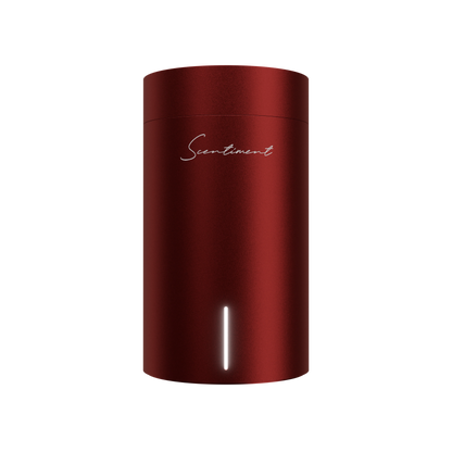 Scent Diffuser Starter Kit