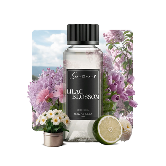 Lilac Blossom