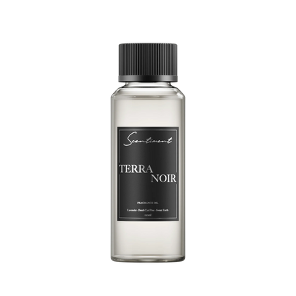 Terra Noir