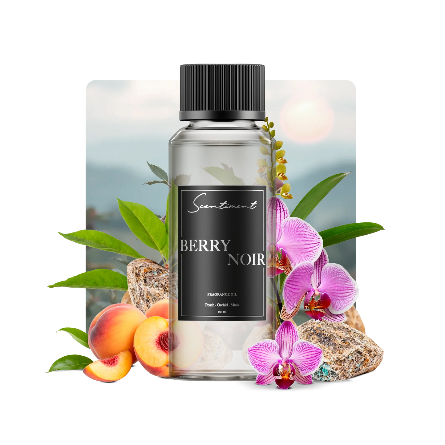 Berry Noir