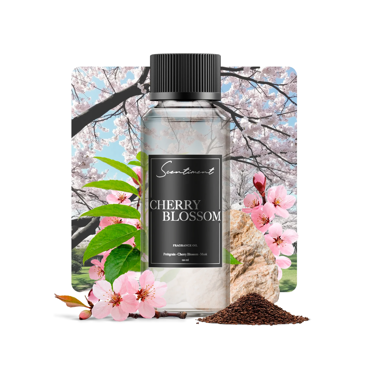 Cherry Blossom