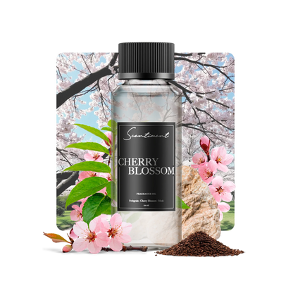 Cherry Blossom