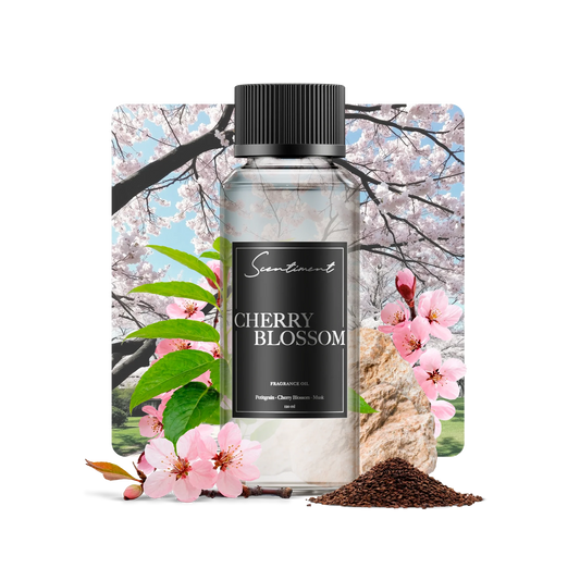 Cherry Blossom