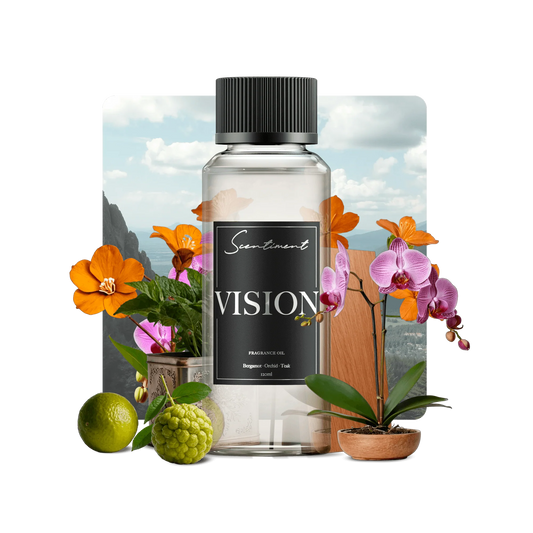 Vision