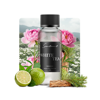 White Tea