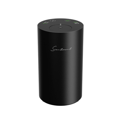 Diffuser Mini