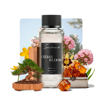 Cedar Bloom