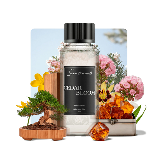 Cedar Bloom