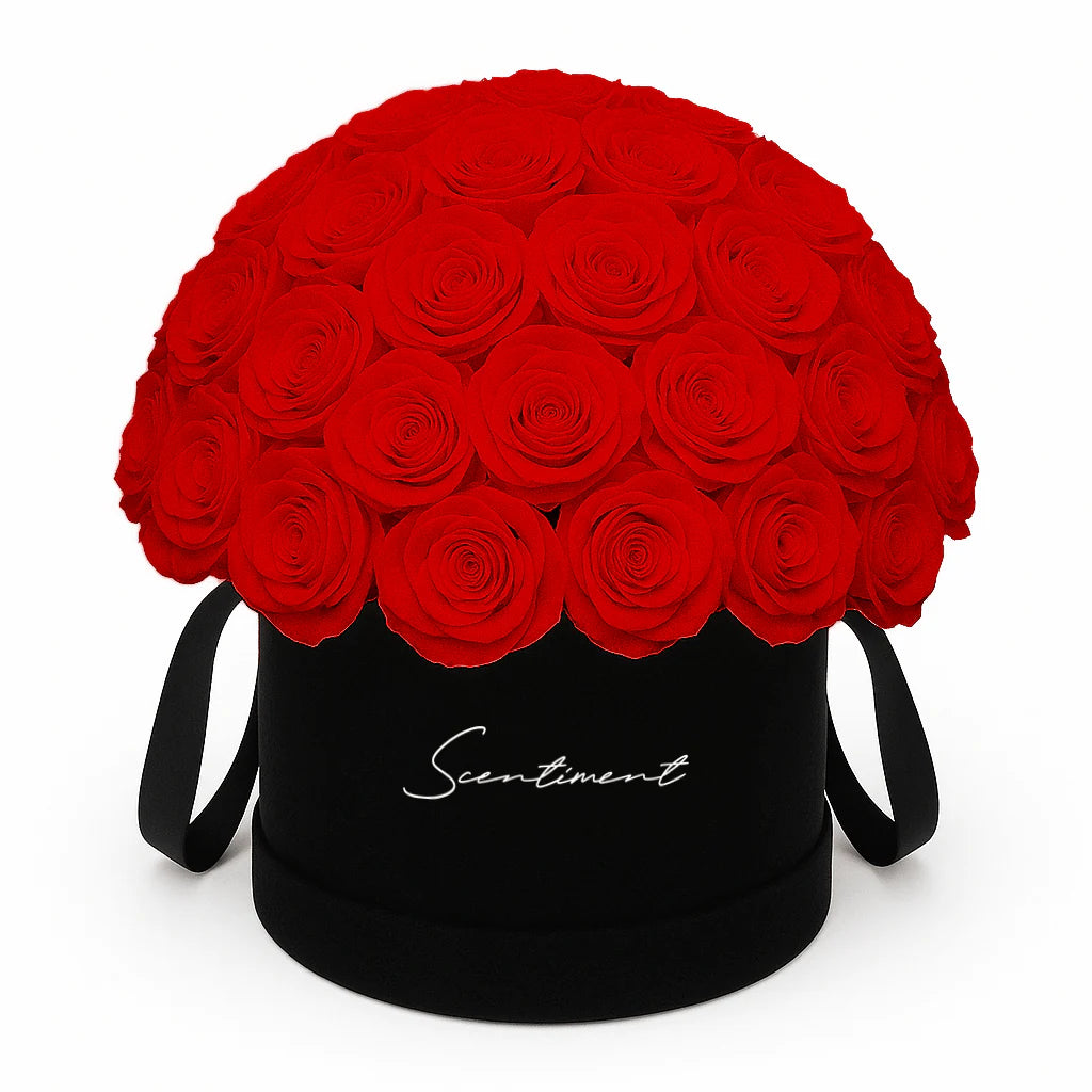 Suede Medium Round