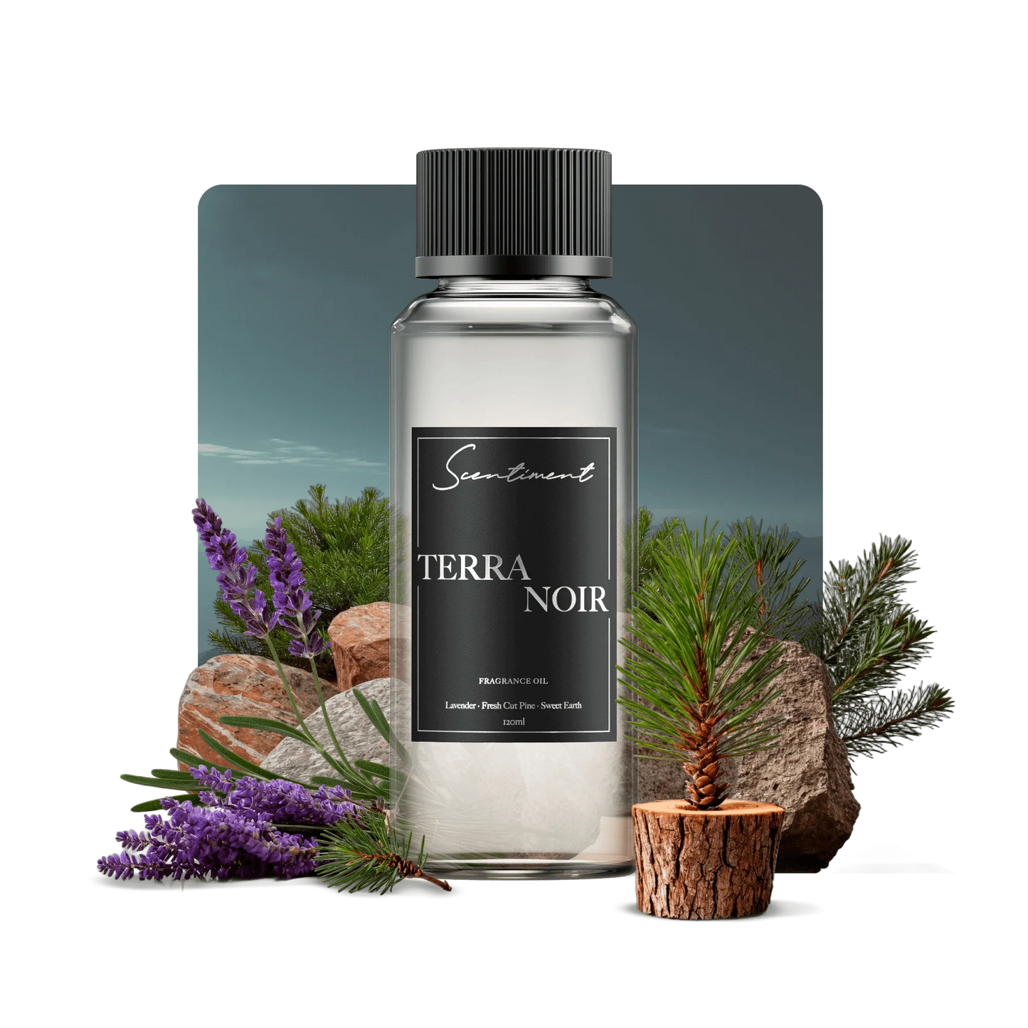 Terra Noir