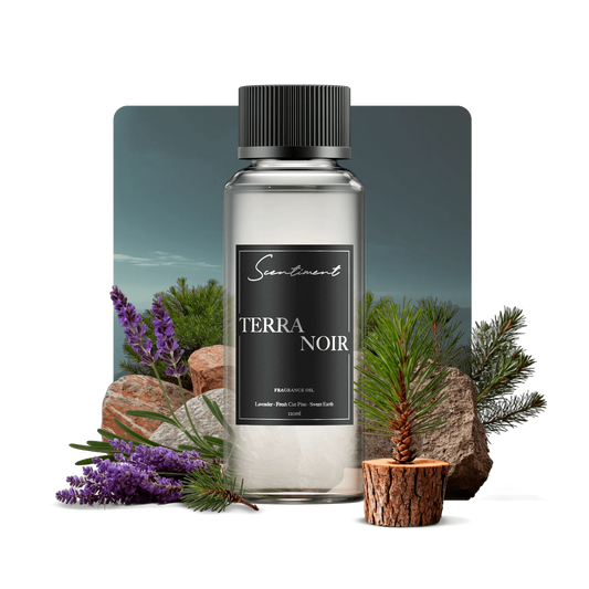 Terra Noir