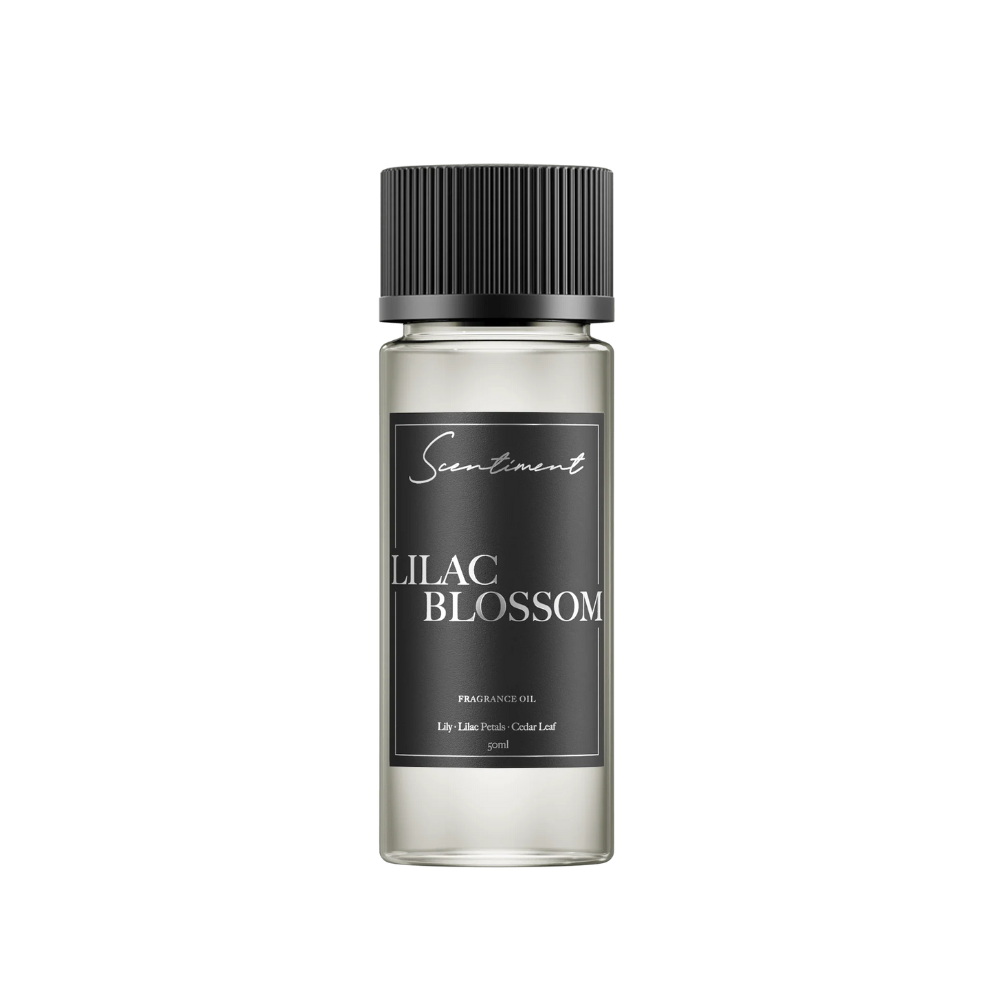 Lilac Blossom