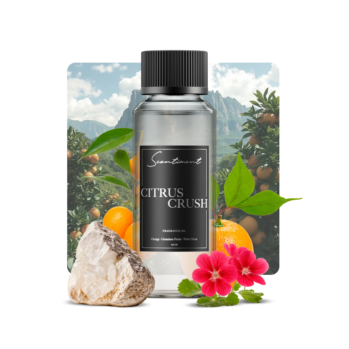 Citrus Crush