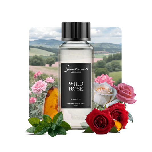 Wild Rose